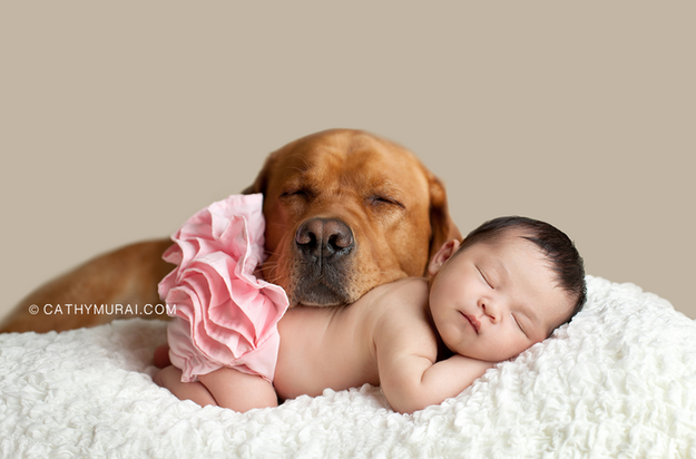 12 Newborns Who Had Their First Photo Shoot With Their Pets!