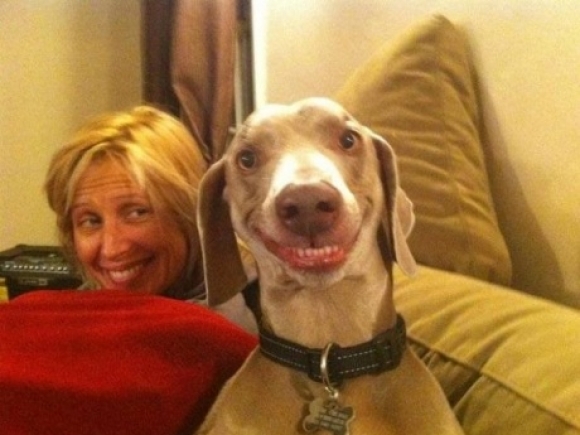 Start Your Day Off With A Smile! Here Are 8 Adorable Smiling Dogs to Help You :)