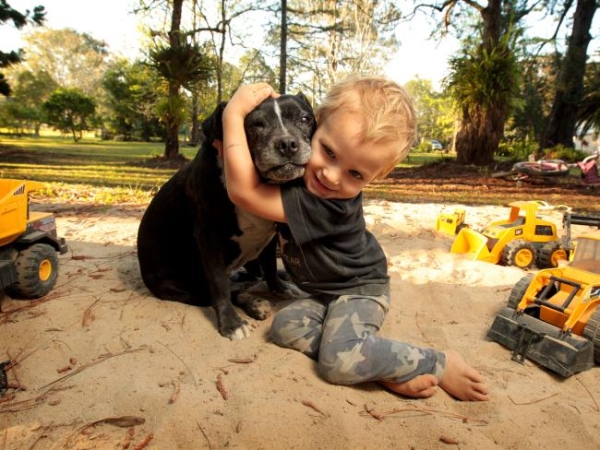 2-Year Old Boy On Brink Of Death – Dog Runs Back To Alert His Parents!