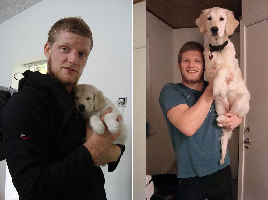 Dogs And Their Owners: 22 Heart-Melting Then and Now Photos