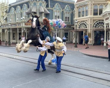 VIDEO: Merida’s Horse Gets Startled During Magic Kingdom Reopening