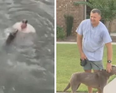 Man Leaps Off Bridge To Save His Dog From Drowning
