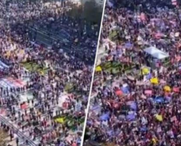 Thousands of Trump Supporters Gather in DC to Protest Election