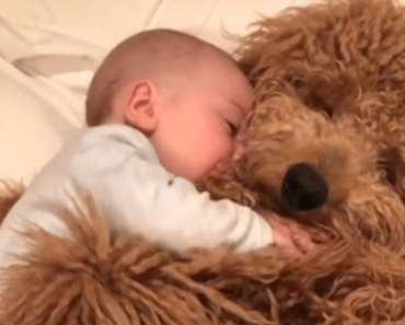 WATCH: Video Of A Baby Cuddling Adorable Dog Goes Viral