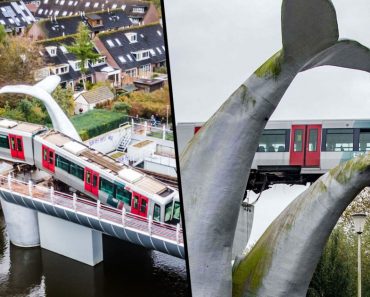 Train Crashes Through Barrier and Lands on Giant Whale Sculpture