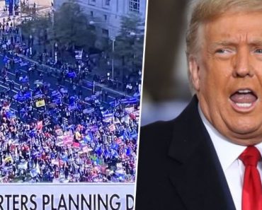 Trump’s Team Mocked After ‘Lying About Size of Million MAGA March’