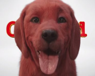 New Clifford the Big Red Dog Movie Gets First Trailer