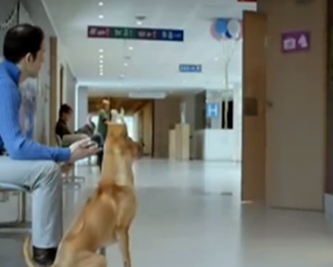 Dad Waits Outside Delivery Room When Door Opens He Is Greeted To The Cutest Puppies Ever