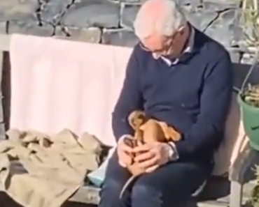 VIDEO: Was Legendary Actor Steve Martin Spotted In A Garden Tending to a Dachshund?