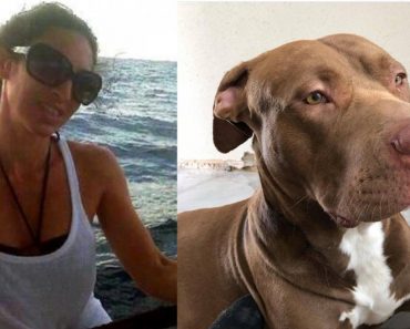 Dog Lover Was Mauled to Death by Her Own Dogs, Police Say
