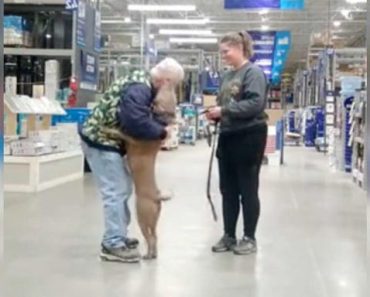 Watch The Heartwarming Moment A Dog Finds His Forever Home In The Middle Of Lowe’s