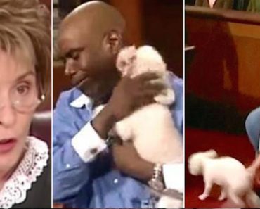 WATCH: Judge Judy Lets Stolen Dog Run Loose In Courtroom To Identify His One True Owner